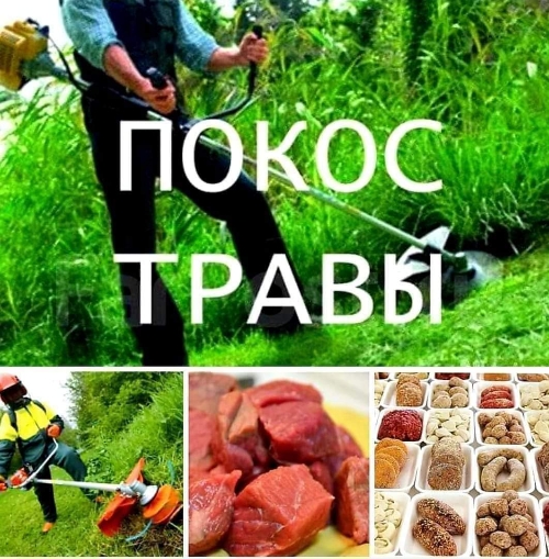 Семейная пара на работу в бистро