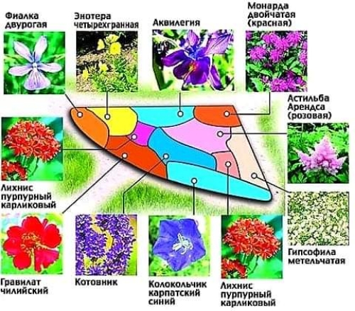 Садовник