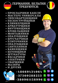 Гипсокартонщики. 13-16 евро, час. город Нант