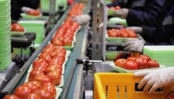 Работа для женщин и мужчин. Под оформление документов. Сортировка СХ - продукции